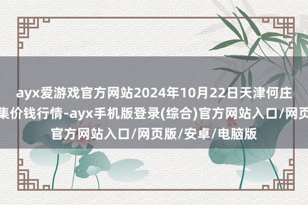 ayx爱游戏官方网站2024年10月22日天津何庄子农产物批发市集价钱行情-ayx手机版登录(综合)官方网站入口/网页版/安卓/电脑版